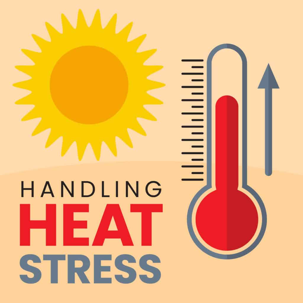 How to Handle Heat Stress Prevention & Training: Spotting Heat Stress ...