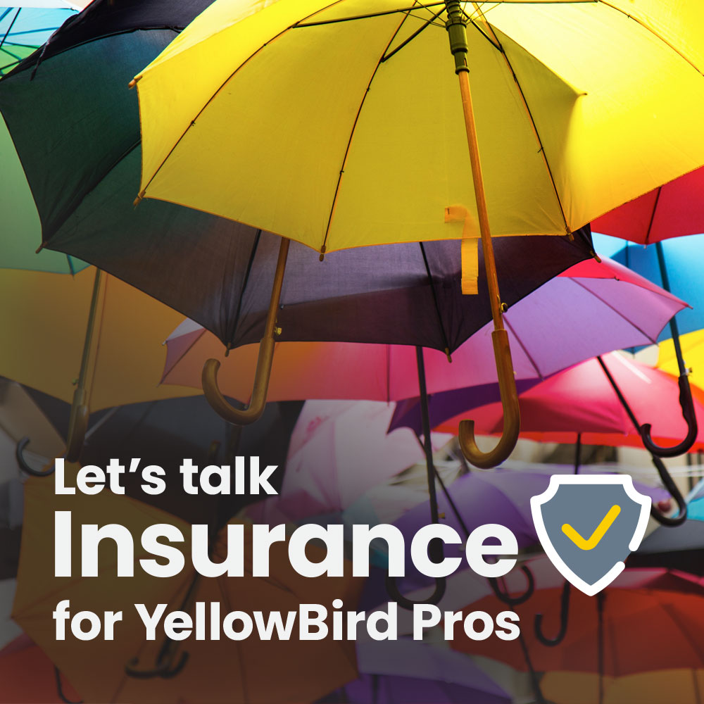 Let's talk insurance for YellowBird Pros blog post